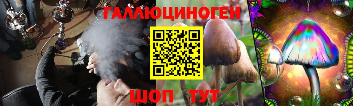 Псилоцибиновые грибы прущие грибы Ярославль